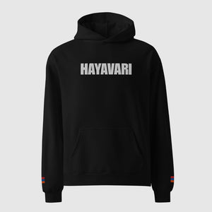 Hyavari Embroidered  oversized hoodie