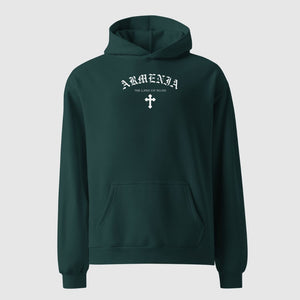 Armenia Land of Noah oversized hoodie
